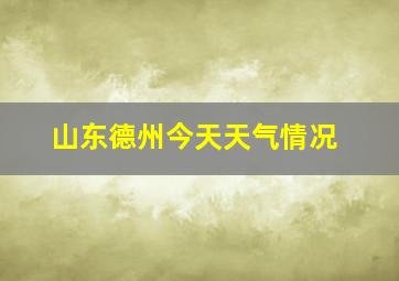 山东德州今天天气情况