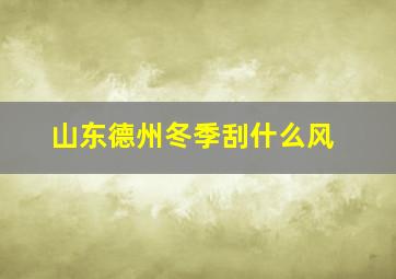 山东德州冬季刮什么风