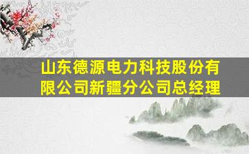 山东德源电力科技股份有限公司新疆分公司总经理