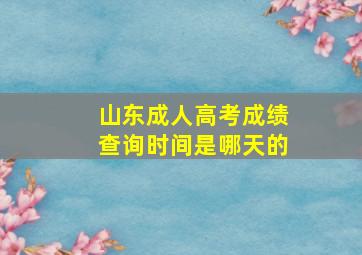 山东成人高考成绩查询时间是哪天的