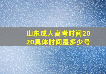 山东成人高考时间2020具体时间是多少号