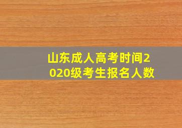 山东成人高考时间2020级考生报名人数