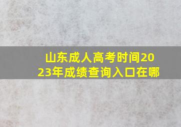 山东成人高考时间2023年成绩查询入口在哪