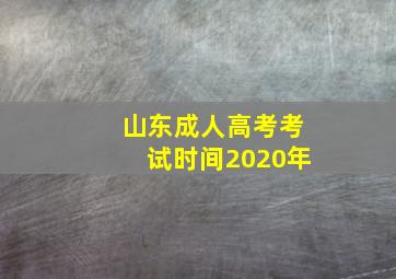 山东成人高考考试时间2020年