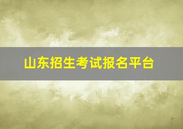 山东招生考试报名平台