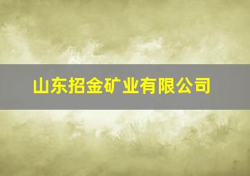 山东招金矿业有限公司