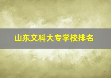 山东文科大专学校排名