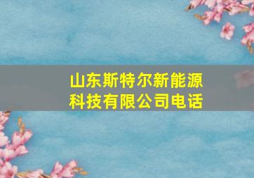 山东斯特尔新能源科技有限公司电话