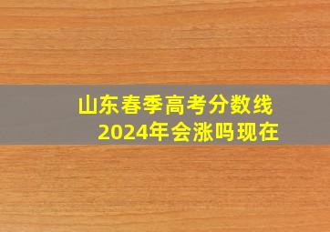 山东春季高考分数线2024年会涨吗现在