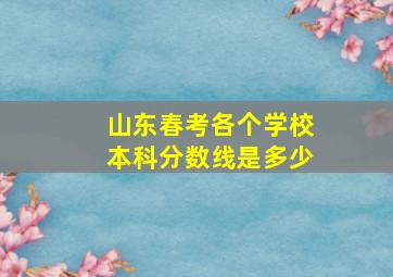 山东春考各个学校本科分数线是多少