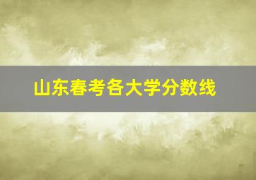 山东春考各大学分数线