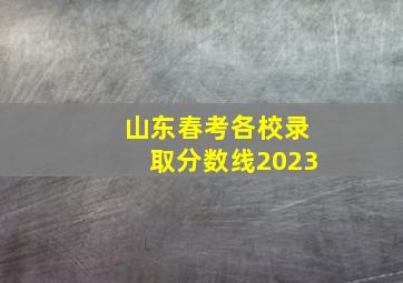 山东春考各校录取分数线2023