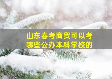 山东春考商贸可以考哪些公办本科学校的