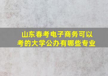 山东春考电子商务可以考的大学公办有哪些专业