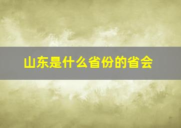 山东是什么省份的省会