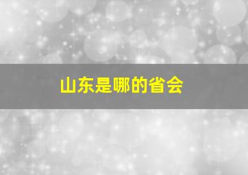 山东是哪的省会