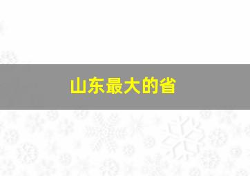 山东最大的省