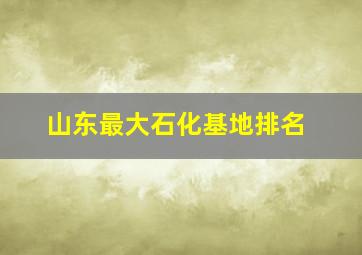 山东最大石化基地排名