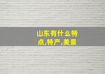 山东有什么特点,特产,美景