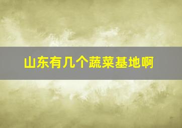 山东有几个蔬菜基地啊