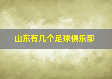 山东有几个足球俱乐部