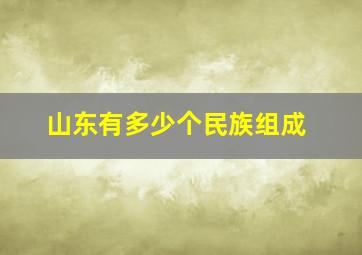 山东有多少个民族组成