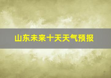 山东未来十天天气预报