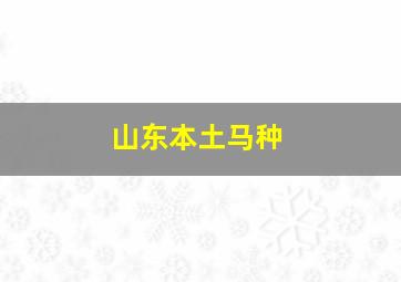 山东本土马种