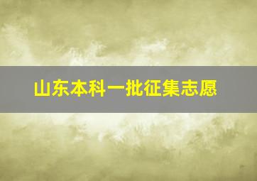 山东本科一批征集志愿