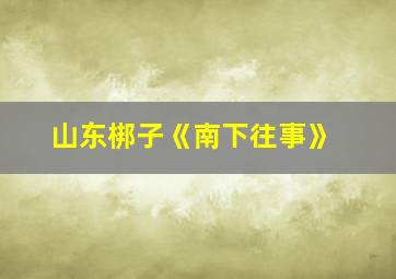 山东梆子《南下往事》