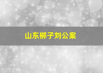 山东梆子刘公案