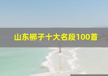 山东梆子十大名段100首