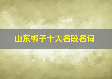 山东梆子十大名段名词