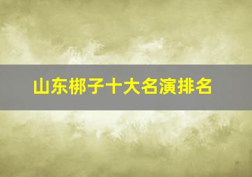 山东梆子十大名演排名