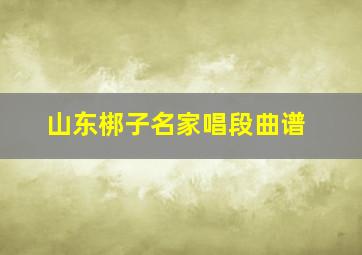 山东梆子名家唱段曲谱