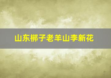 山东梆子老羊山李新花