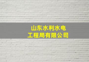 山东水利水电工程局有限公司