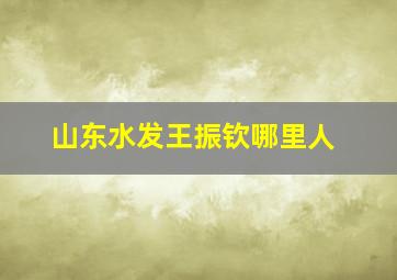 山东水发王振钦哪里人