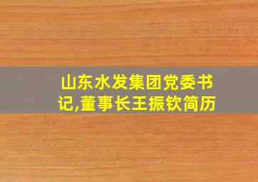 山东水发集团党委书记,董事长王振钦简历