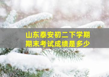 山东泰安初二下学期期末考试成绩是多少