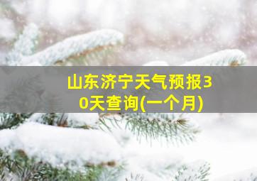 山东济宁天气预报30天查询(一个月)