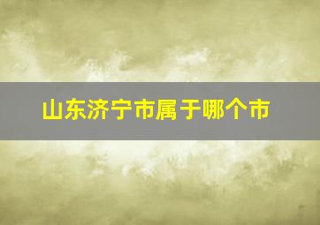 山东济宁市属于哪个市