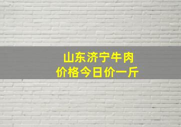 山东济宁牛肉价格今日价一斤