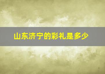 山东济宁的彩礼是多少