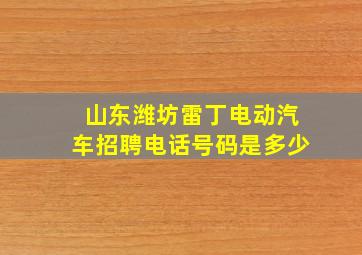 山东潍坊雷丁电动汽车招聘电话号码是多少