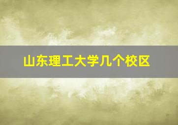 山东理工大学几个校区