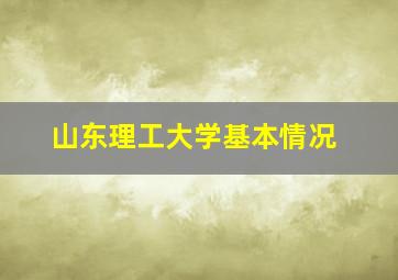 山东理工大学基本情况