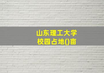 山东理工大学校园占地()亩