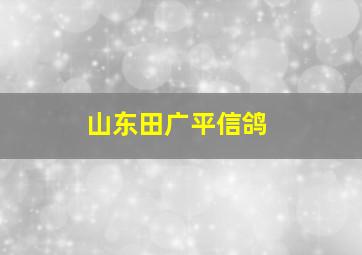 山东田广平信鸽