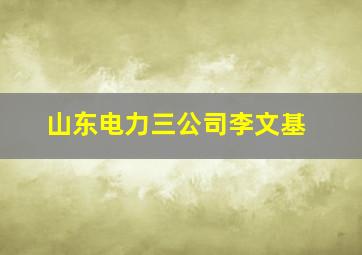 山东电力三公司李文基